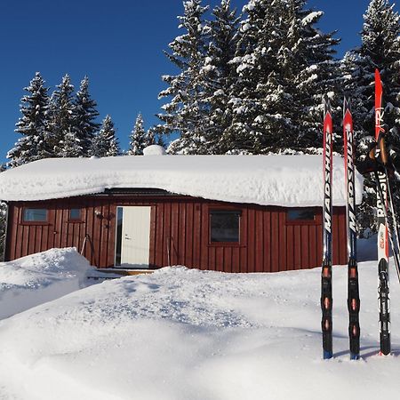 Cabin With Great View Close To Town And Ski Area Lillehammer Zewnętrze zdjęcie